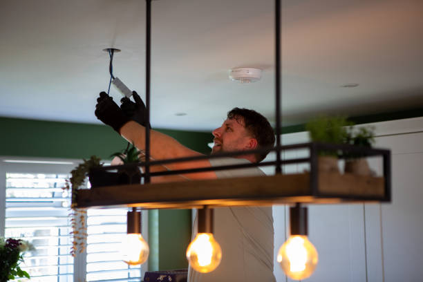 Best Electrician for Home Renovation  in Mendota Heights, MN